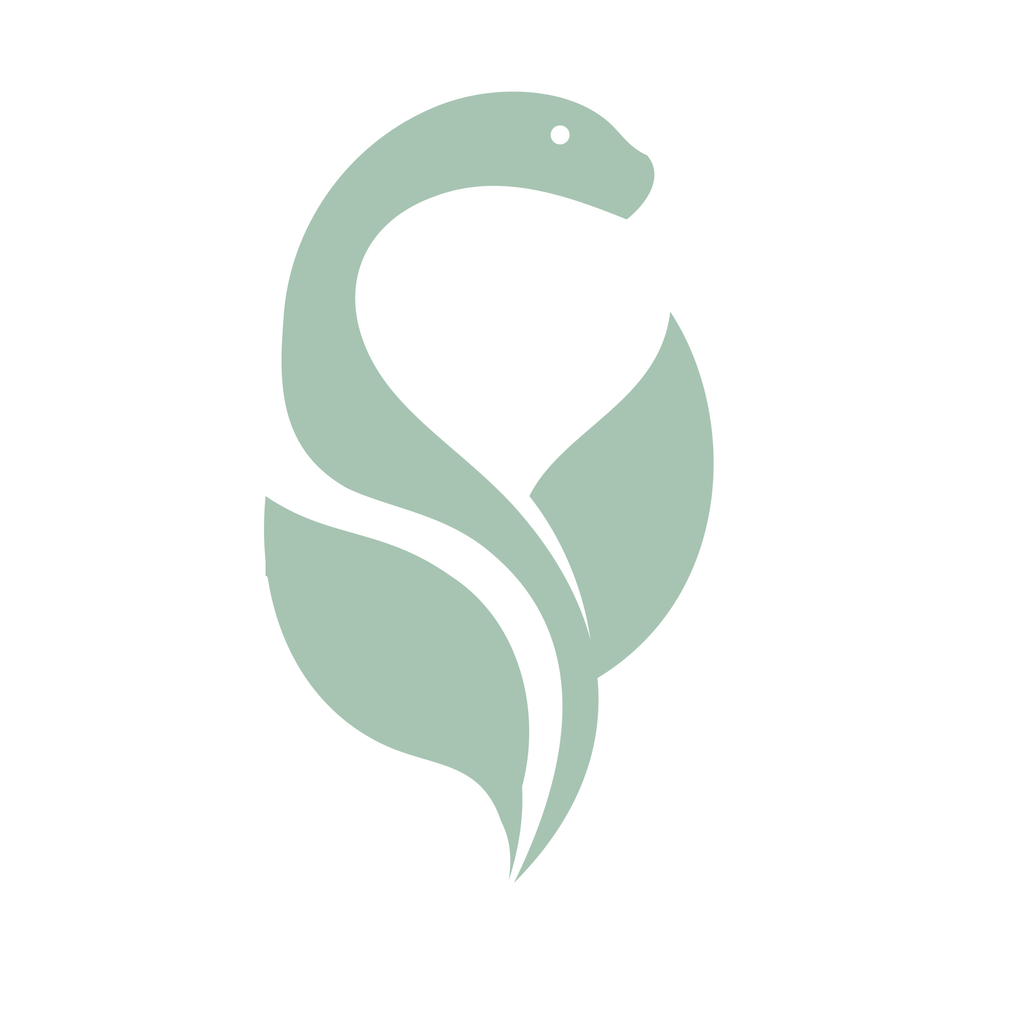 MediSearcher